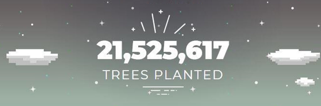 Entering the New Year with at least one positive change 🌍