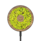Wireless Charger - Organic