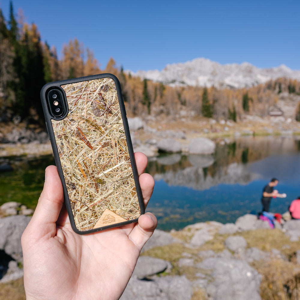 In the nature alpine hay phone case in hands