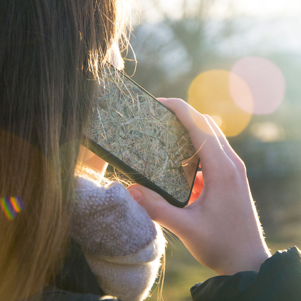 Talking on the Alpine Hay phone case