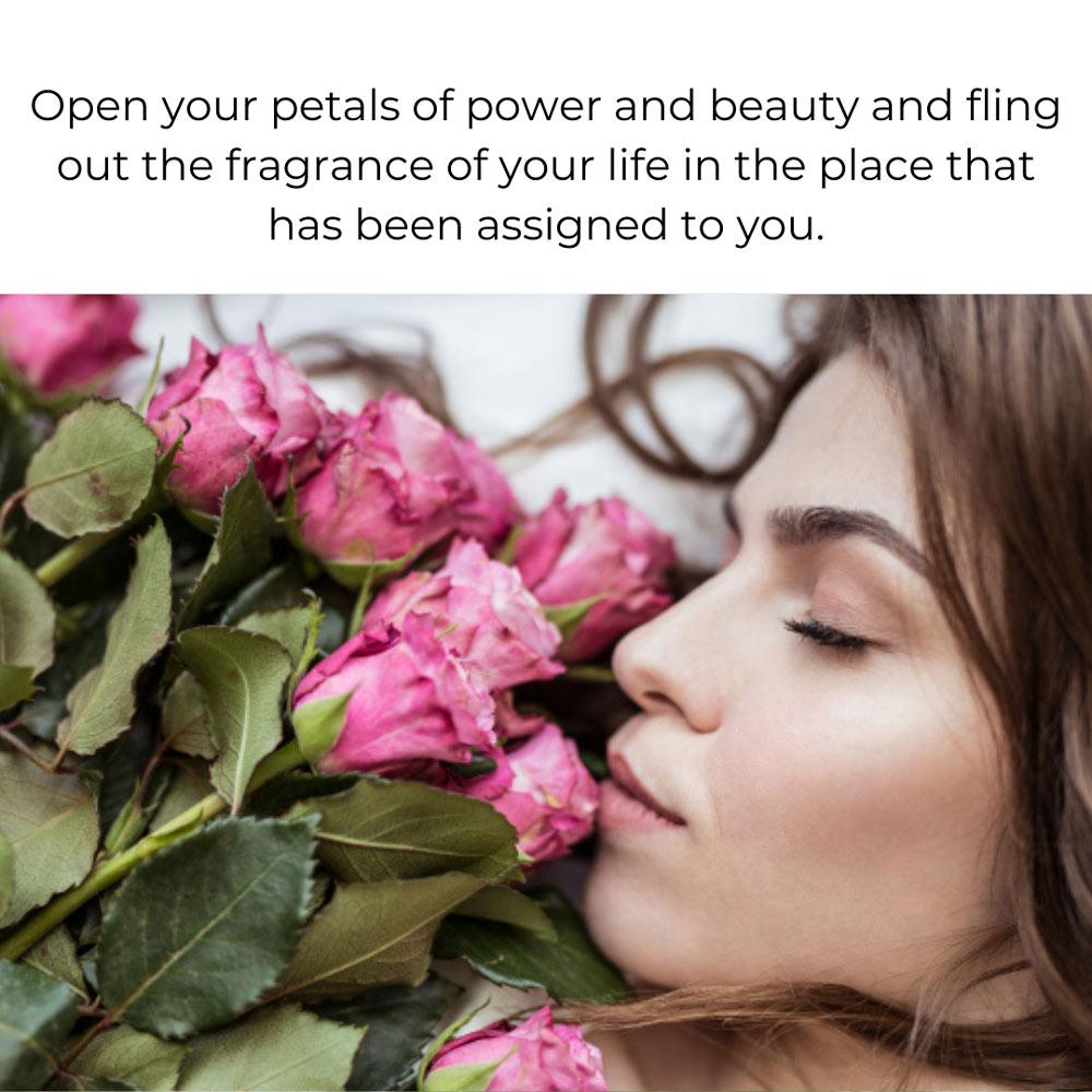 the power of roses and rose petals