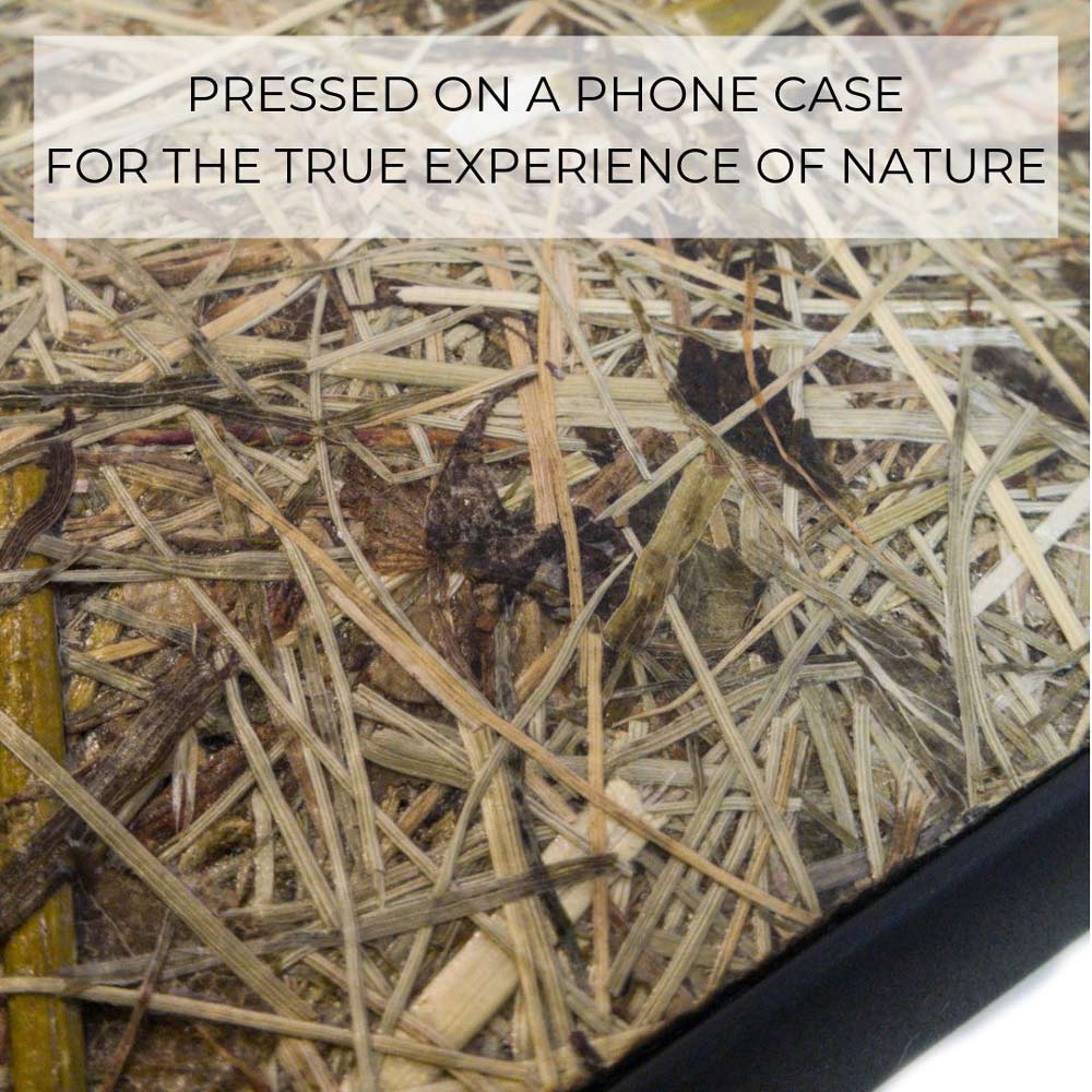 Dried Press Alpine Hay Up Close
