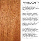 Holz Beschreibung Mahagoni
