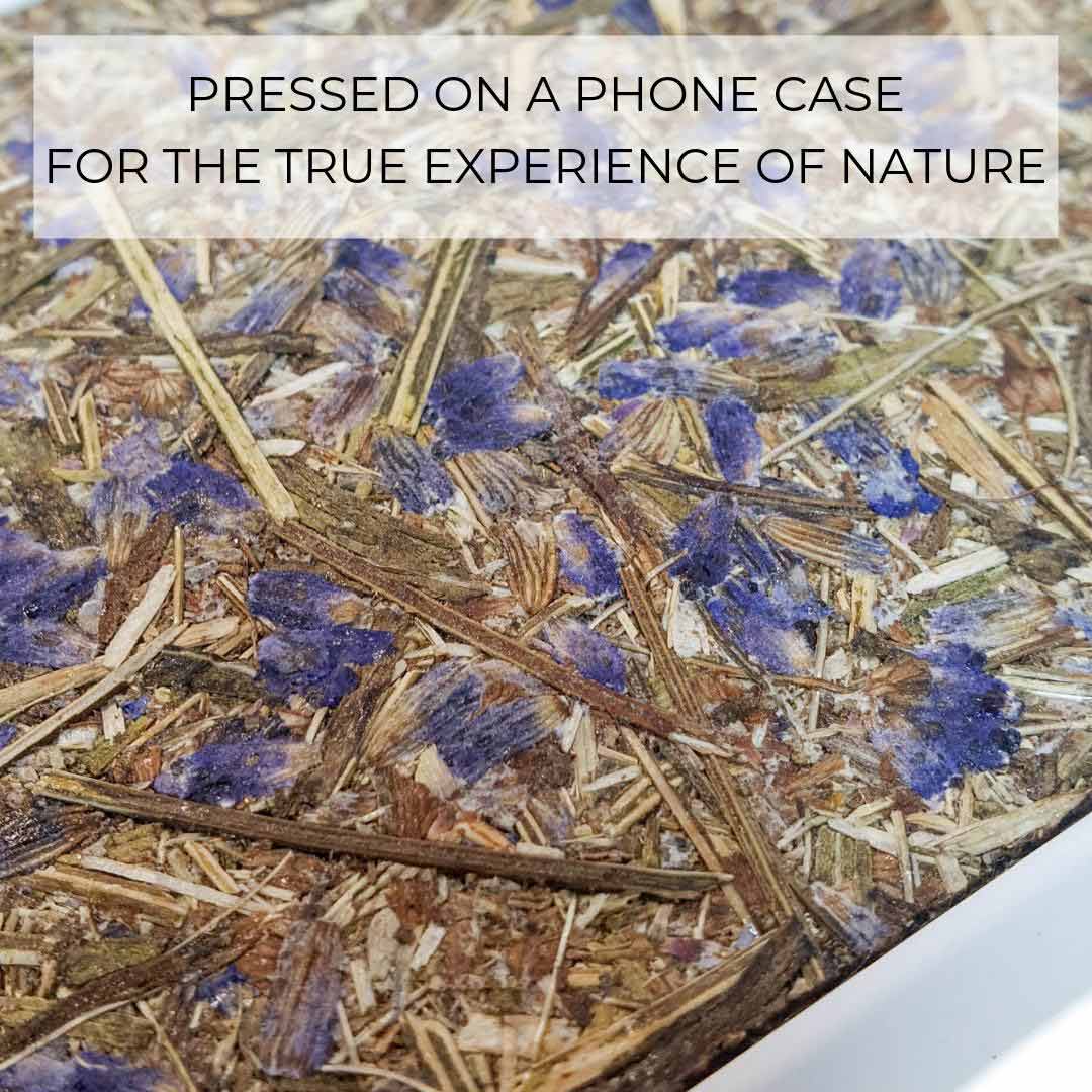 Pressed Lavender Material 