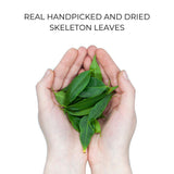 Skeleton Leaves in Hand