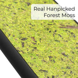 Primer plano de material de musgo de bosque natural orgánico