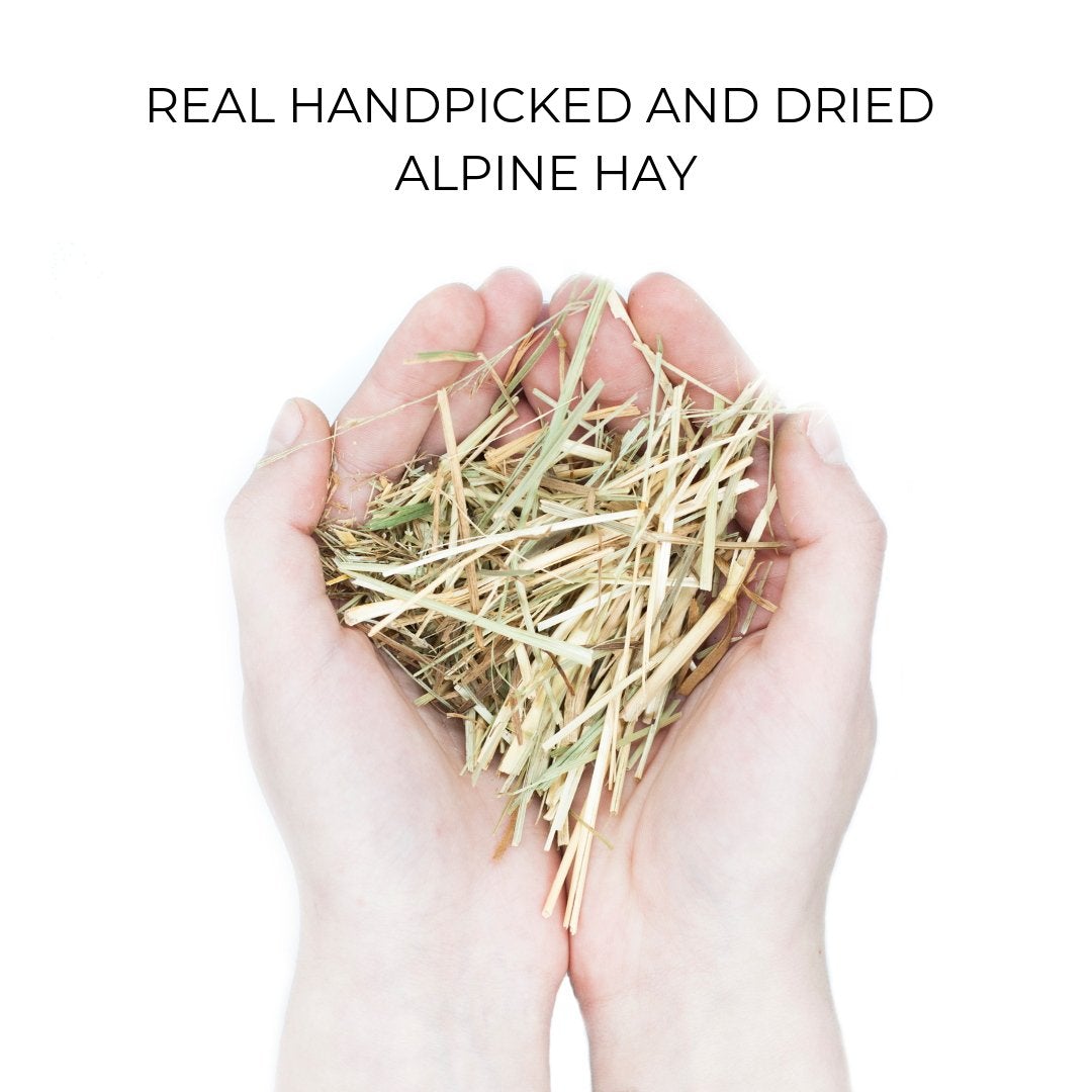 Handpicked and dried Alpine Hay material