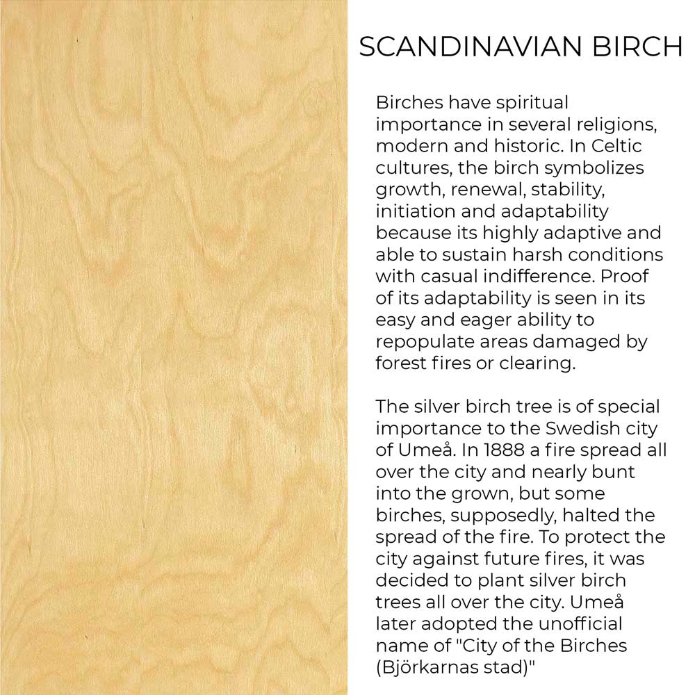 Birch Wood The Meaning Case Introduction