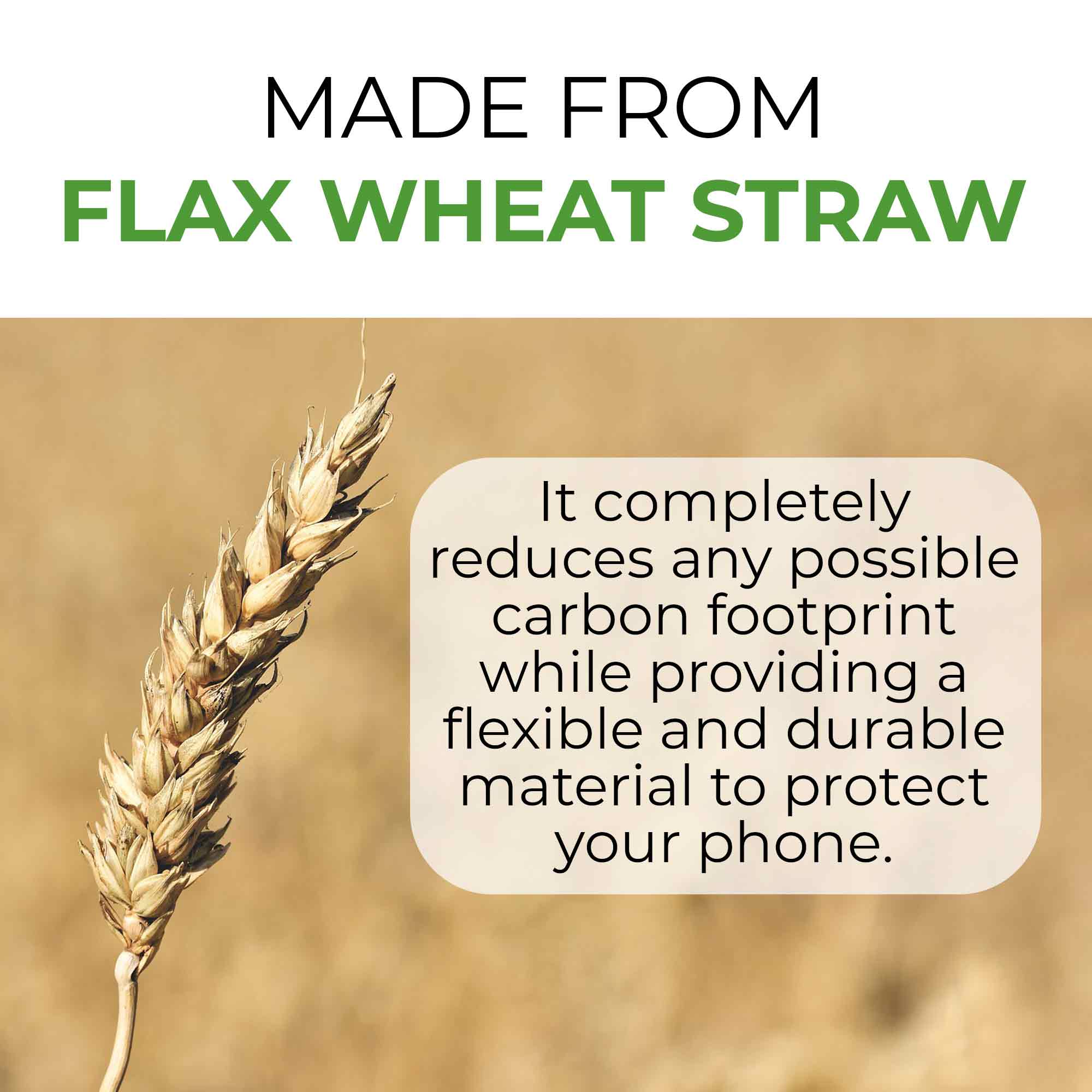 Fully Biodegradable Plant Based Materials