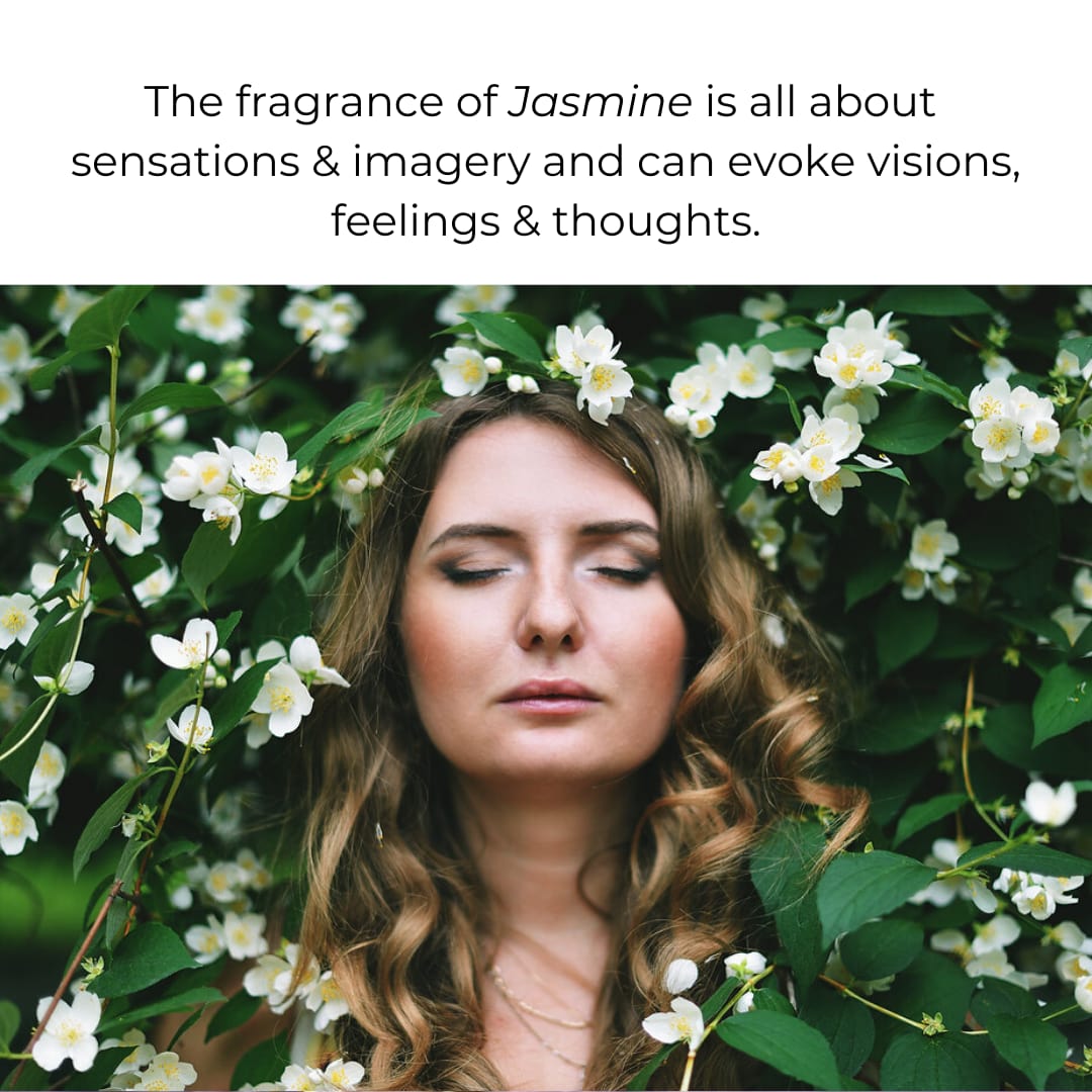 The power of Jasmine aroma