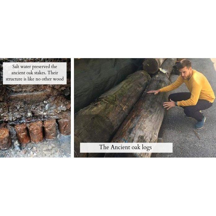 Venice logs inspection