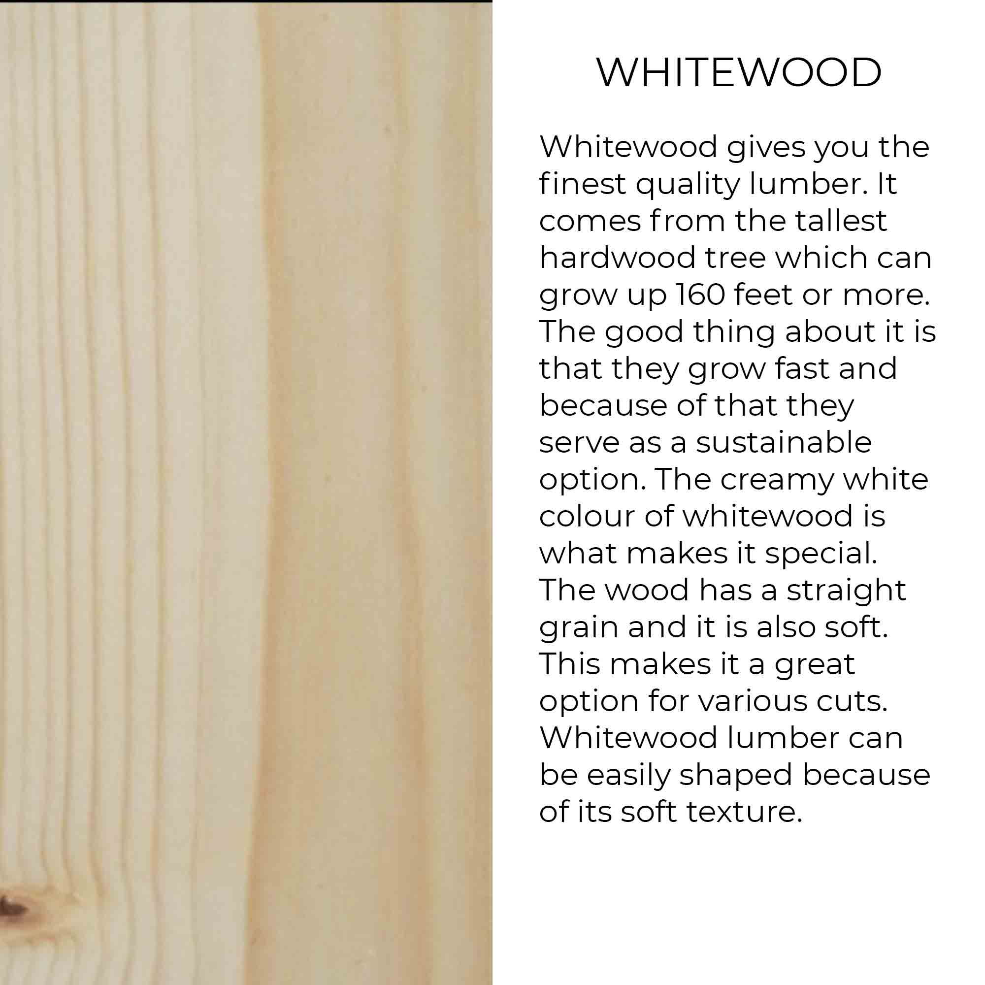 Viking Secondary image